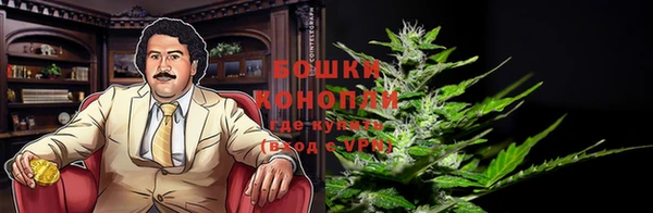 ГАЛЛЮЦИНОГЕННЫЕ ГРИБЫ Верхний Тагил