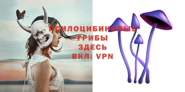 ГАЛЛЮЦИНОГЕННЫЕ ГРИБЫ Верхний Тагил