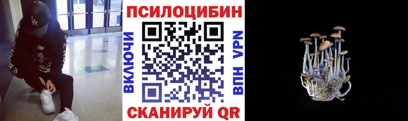 Галлюциногенные грибы мухоморы  Купить где  Полысаево 